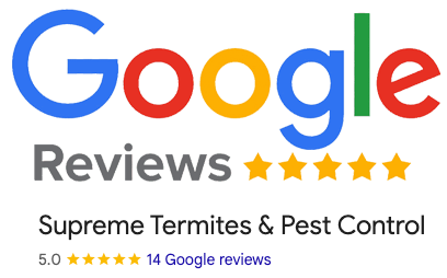 St Googlereview